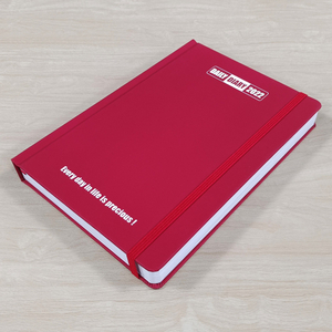 FSC standered 2022 diary A5 diary with daily view layout, pure color printed cover and elastic