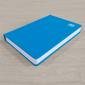 high quality PU cover A5 diary with 2022 year calendar and daily view layout pages